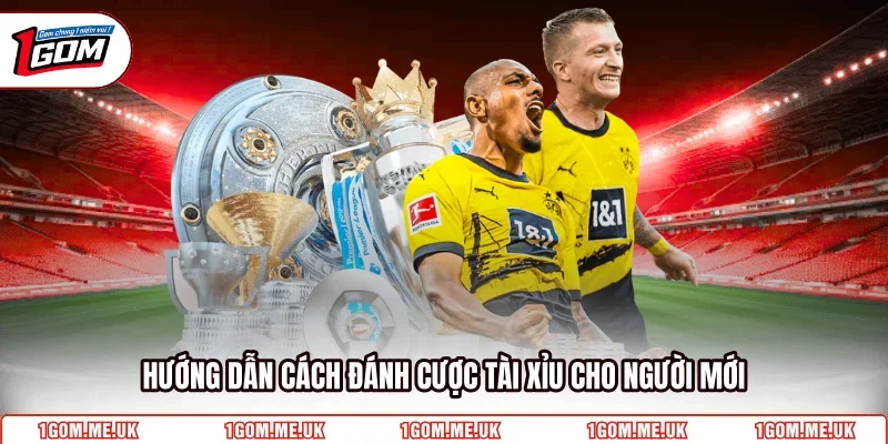 Hướng dẫn cách đánh cược tài xỉu cho người mới